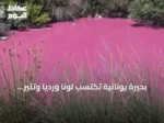 بحيرة يونانية تكتسب لونًا ورديًا وتثير تساؤلات السلطات