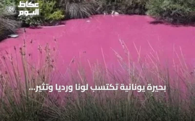 بحيرة يونانية تكتسب لونًا ورديًا وتثير تساؤلات السلطات