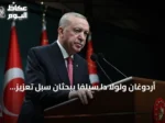 أردوغان ولولا دا سيلفا يبحثان سبل تعزيز التعاون التركي البرازيلي