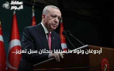 أردوغان ولولا دا سيلفا يبحثان سبل تعزيز التعاون التركي البرازيلي