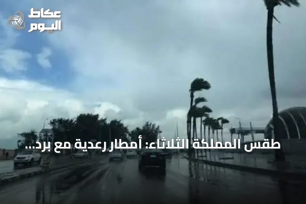 طقس المملكة الثلاثاء: أمطار رعدية مع برد ورياح نشطة على عدة مناطق