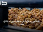 السكري يحقق أعلى مبيعات في كرنفال تمور بريدة الدولي 2026
