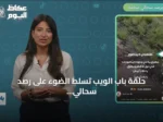 حلقة باب الويب تسلط الضوء على رصد سحالي ضخمة أشبه بالديناصورات في مصر