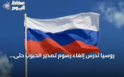 روسيا تدرس إلغاء رسوم تصدير الحبوب حتى نهاية 2026 دعماً للقطاع الزراعي