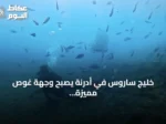 خليج ساروس في أدرنة يصبح وجهة غوص مميزة بفضل الشعاب الاصطناعية