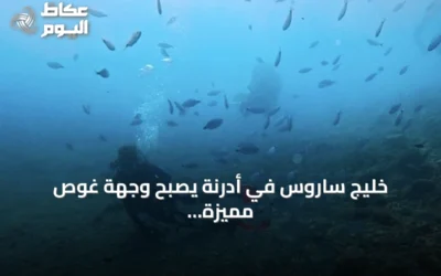 خليج ساروس في أدرنة يصبح وجهة غوص مميزة بفضل الشعاب الاصطناعية