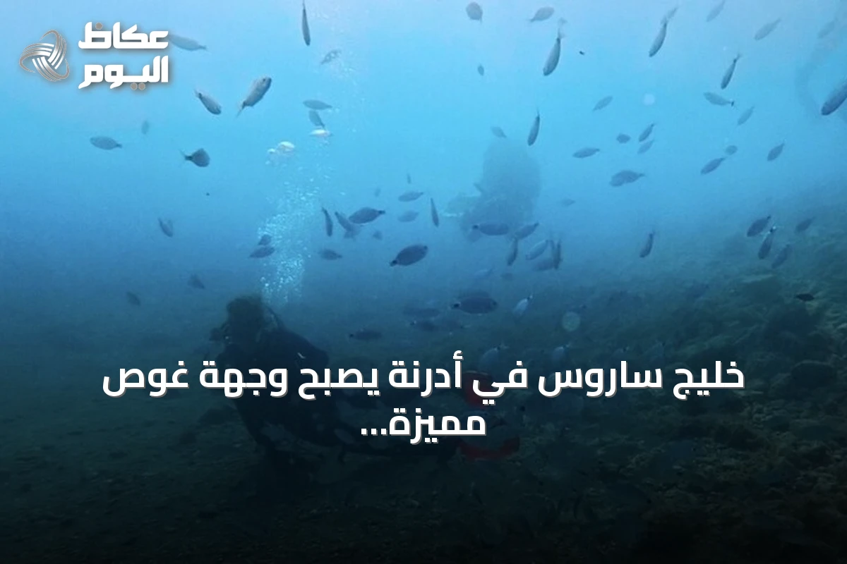 خليج ساروس في أدرنة يصبح وجهة غوص مميزة بفضل الشعاب الاصطناعية