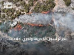 الجزائر تسجل 58 حريقًا وتجري إجلاءات وقائية وسط موجة حر شديدة