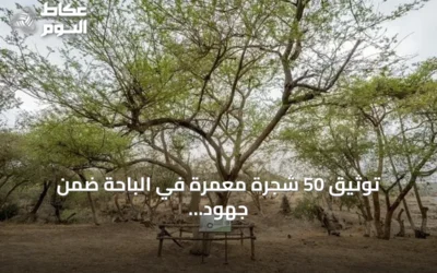 توثيق 50 شجرة معمّرة في الباحة ضمن جهود تنمية الغطاء النباتي