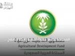 المملكة تحصد جائزة أممية رائدة لإصلاح الأراضي وتعزز جهودها البيئية