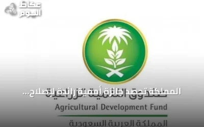 المملكة تحصد جائزة أممية رائدة لإصلاح الأراضي وتعزز جهودها البيئية