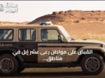 القبض على مواطن رعى عشر إبل في مناطق محظورة بمحمية الإمام تركي بن Abdullah