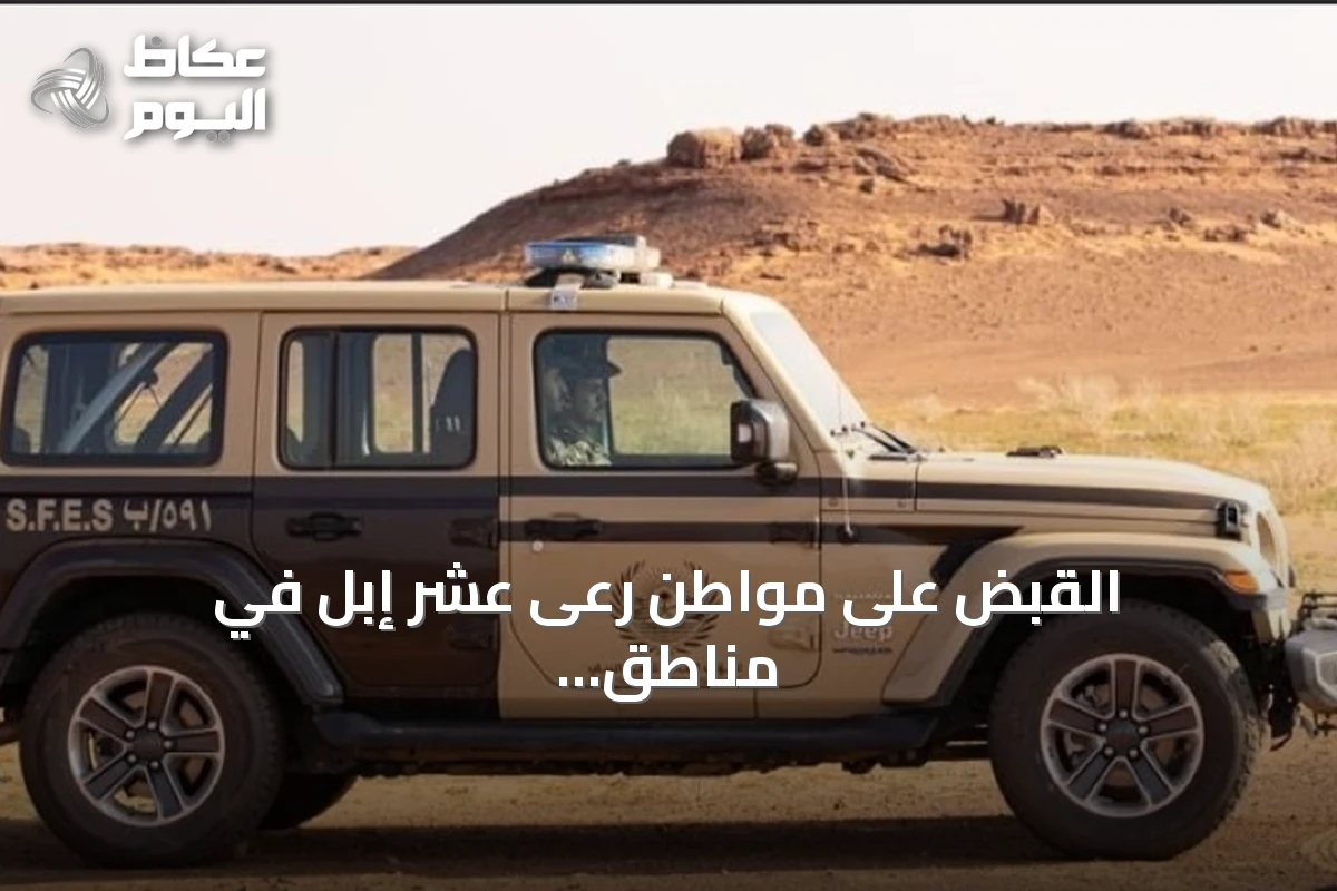 القبض على مواطن رعى عشر إبل في مناطق محظورة بمحمية الإمام تركي بن Abdullah