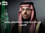 وزير الخارجية يؤكد دعم فلسطين ورفض تقسيم الأقصى ويدعو لإصلاح منظمة التعاون الإسلامي