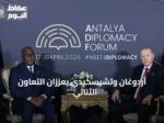 أردوغان وتشيسكيدي يعززان التعاون الثنائي ويناقشان الوضع الأمني في شرق الكونغو