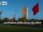 المغرب وإندونيسيا يطلقان مجموعة عمل لتعزيز الشراكة الاقتصادية