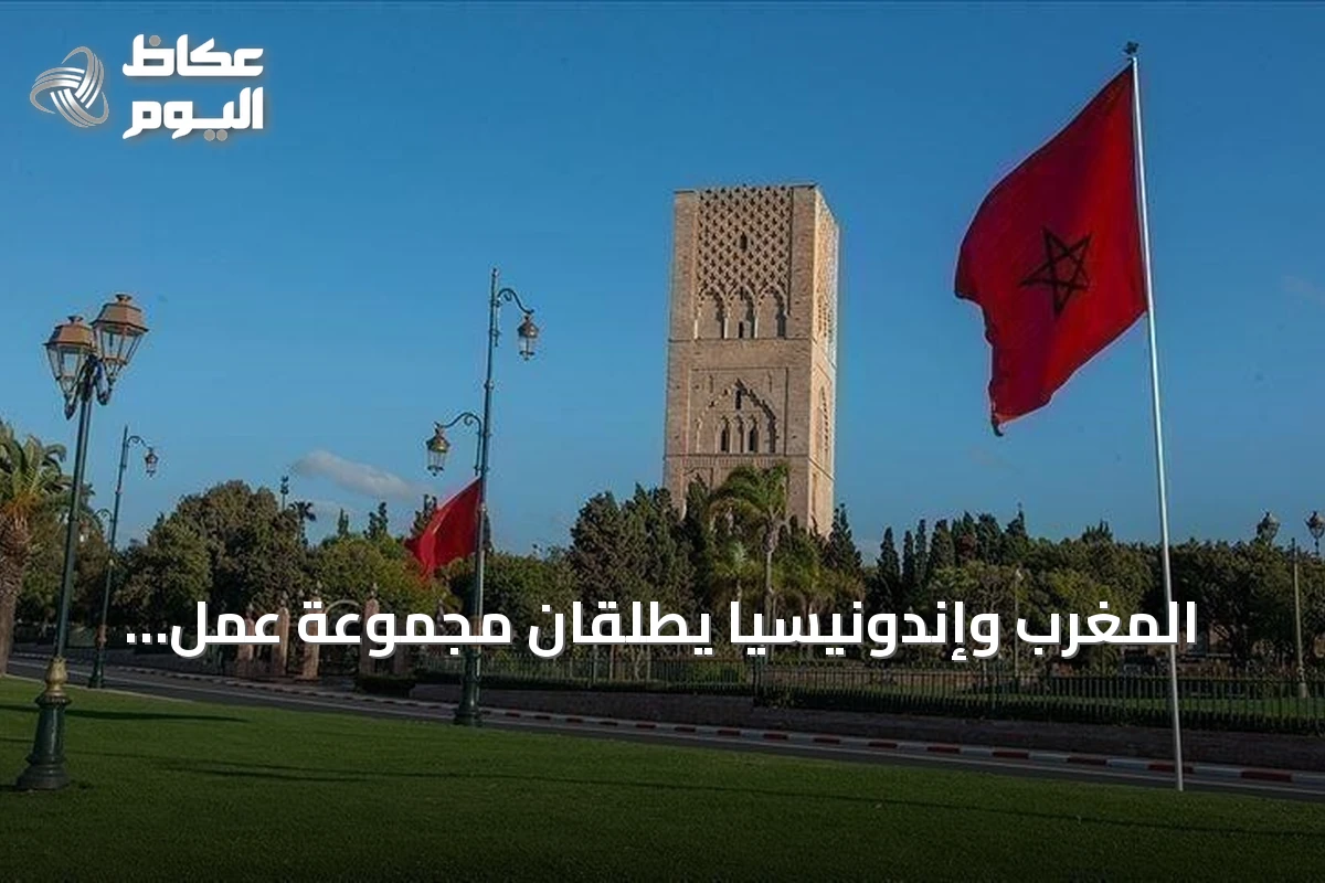 المغرب وإندونيسيا يطلقان مجموعة عمل لتعزيز الشراكة الاقتصادية