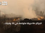 الجزائر: 64 حريقاً متواصلاً في 10 ولايات و12 قتيلاً جراء الحرائق