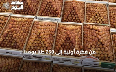من فكرة أولية إلى 250 طناً يومياً.. seventeenth نسخة من سوق تمور البكيرية