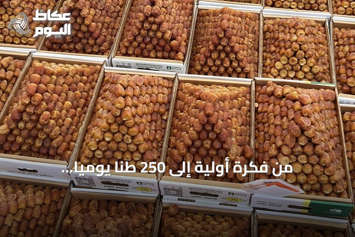 من فكرة أولية إلى 250 طناً يومياً.. seventeenth نسخة من سوق تمور البكيرية