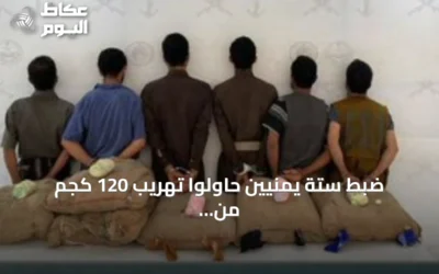 ضبط ستة يمنيين حاولوا تهريب 120 كجم من القات في قطاع الربوعة بعسير