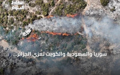سوريا والسعودية والكويت تعزي الجزائر وتعلن تضامنها بعد حرائق الغابات