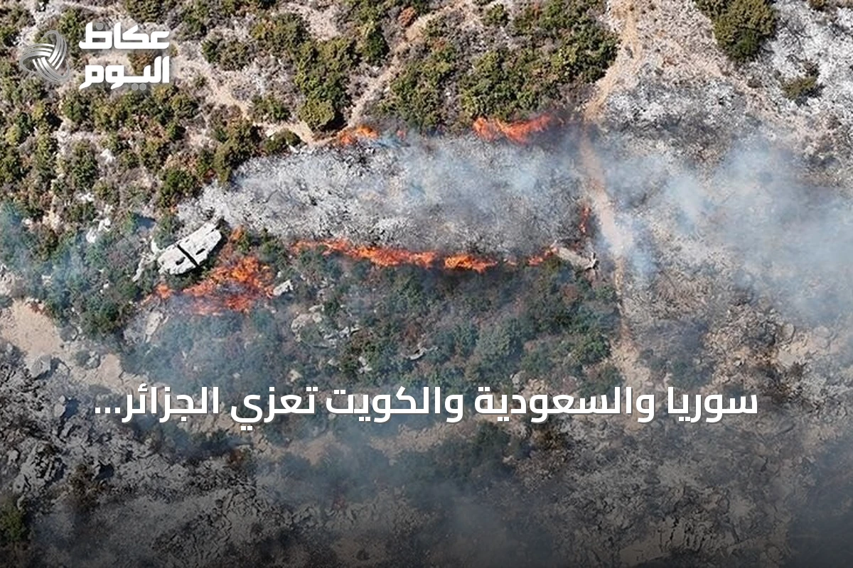 سوريا والسعودية والكويت تعزي الجزائر وتعلن تضامنها بعد حرائق الغابات