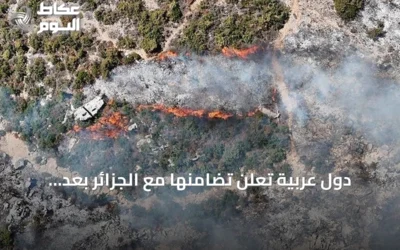 دول عربية تُعلن تضامنها مع الجزائر بعد حرائق الغابات شمال شرقي البلاد