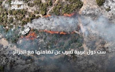 ست دول عربية تعرب عن تضامنها مع الجزائر في مواجهة حرائق الغابات