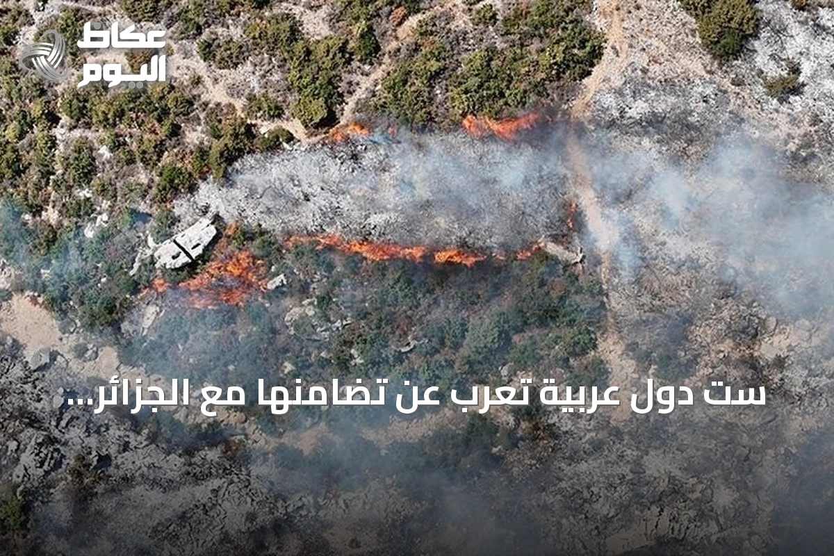 ست دول عربية تعرب عن تضامنها مع الجزائر في مواجهة حرائق الغابات