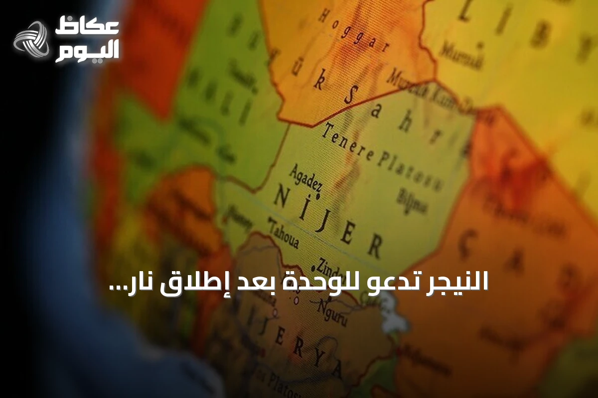 النيجر تدعو للوحدة بعد إطلاق نار وانفجارات قرب المطار الرئاسي