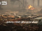 الجزائر: تراجع حرائق الغابات وانطلاق قوافل تضامنية نحو جيجل
