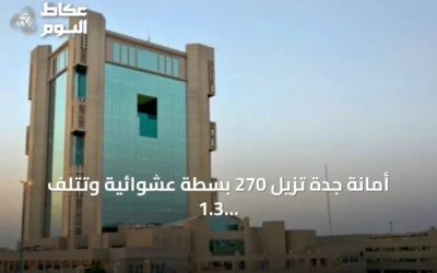 أمانة جدة تزيل 270 بسطة عشوائية وتتلف 1.3 طن من الملابس المستعملة وتنقل 11 طناً من المضبوطات إلى المردم