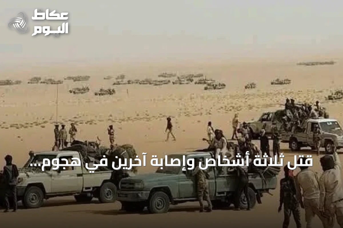 قتل ثلاثة أشخاص وإصابة آخرين في هجوم طائرة مسيّرة على سوق الدلنج بجنوب كردفان
