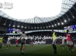 نيوكاسل يعمق جراح توتنهام بهدفين نظيفين في الدوري الإنجليزي