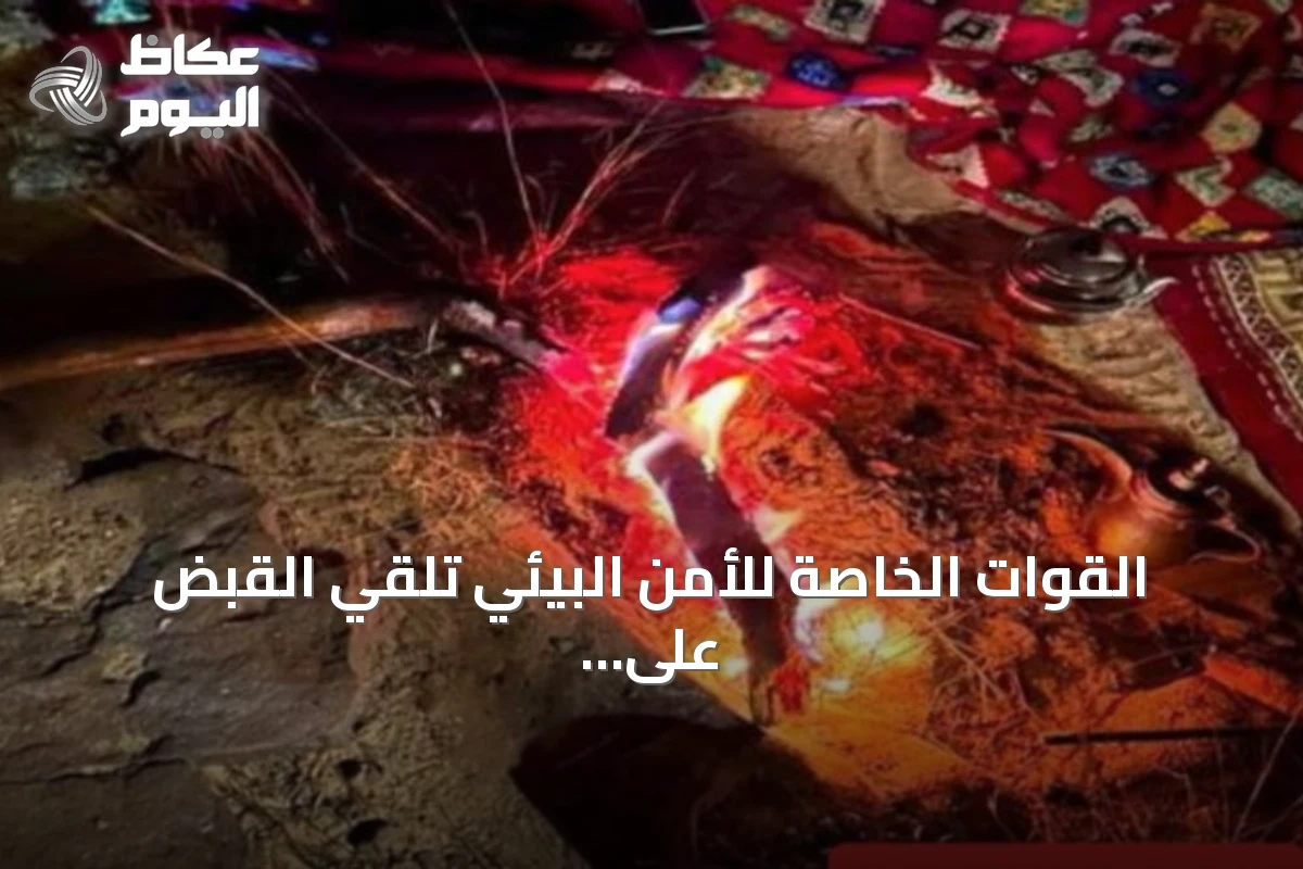 القوات الخاصة للأمن البيئي تلقي القبض على مواطن أشعل نارًا في محمية الإمام فيصل وتؤكد غرامة تصل إلى 3000 ريال