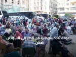 عودة 550 سودانياً من مصر إلى السودان ضمن برنامج العودة الطوعية