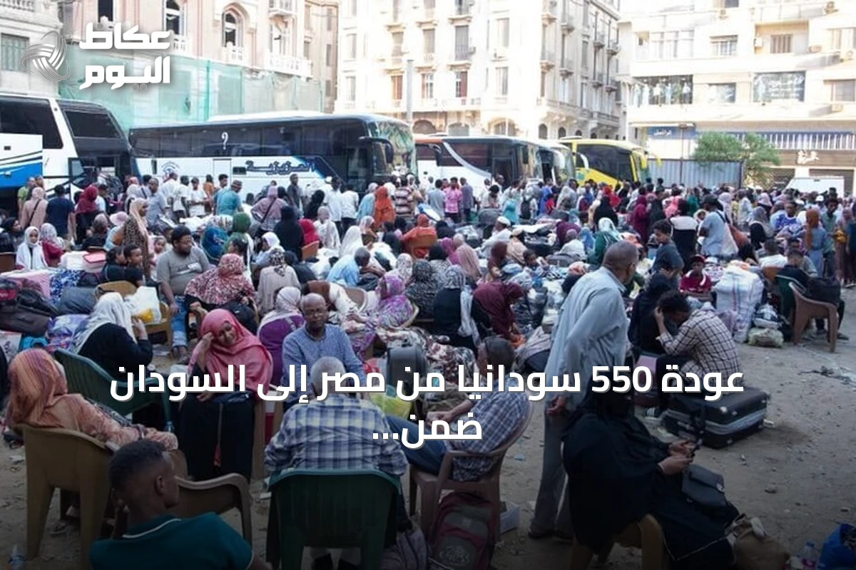 عودة 550 سودانياً من مصر إلى السودان ضمن برنامج العودة الطوعية