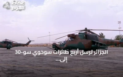 الجزائر ترسل أربع طائرات سوخوي سو-30 إلى النيجر لدعم الاستقرار بعد محاولة انقلابية