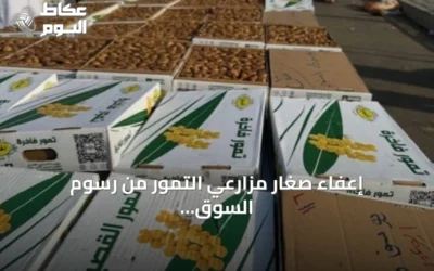 إعفاء صغار مزارعي التمور من رسوم السوق ودعم الشباب عبر الجمعيات التعاونية