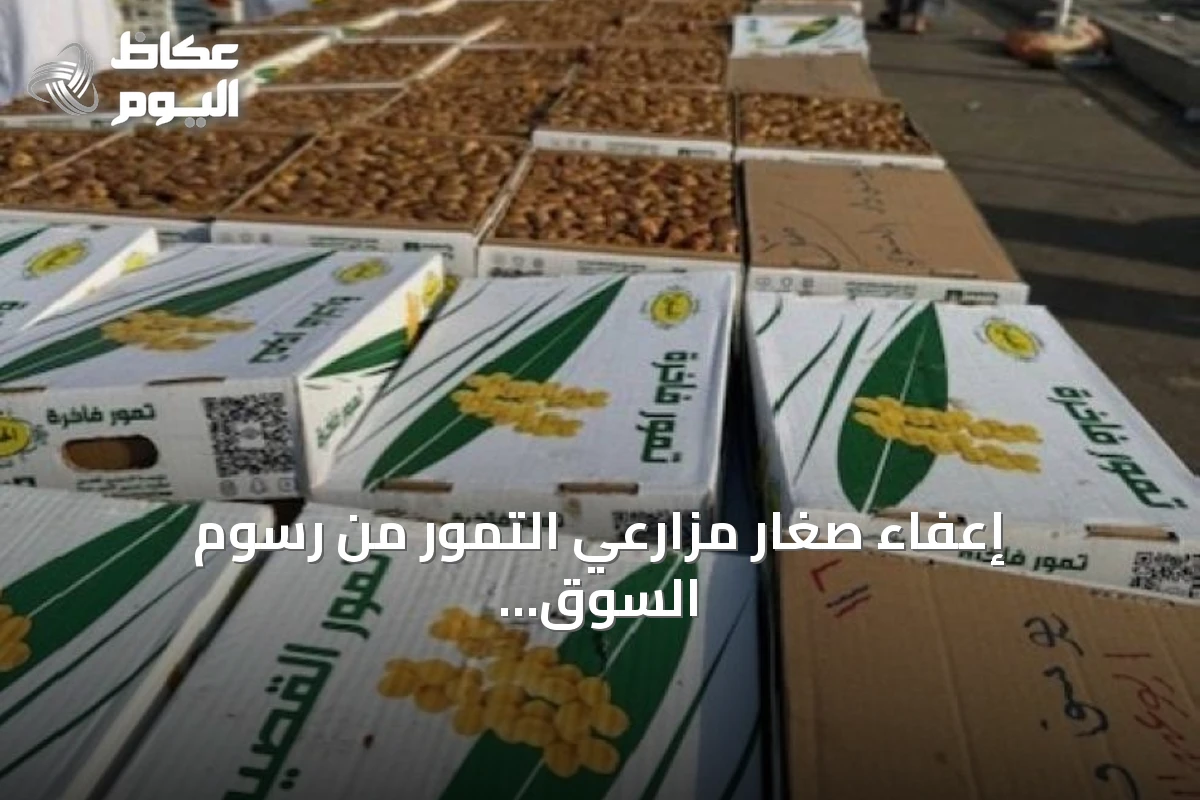 إعفاء صغار مزارعي التمور من رسوم السوق ودعم الشباب عبر الجمعيات التعاونية