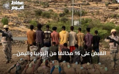 القبض على 16 مخالفاً من إثيوبيا واليمن بتهمة تهريب 320 كيلوجراماً من القات في عسير
