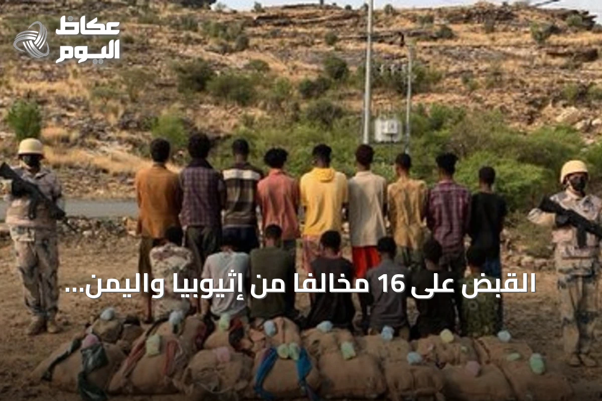 القبض على 16 مخالفاً من إثيوبيا واليمن بتهمة تهريب 320 كيلوجراماً من القات في عسير