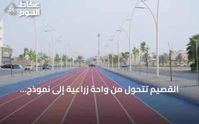 القصيم تتحول من واحة زراعية إلى نموذج تنموي يجمع بين الصحة والسياحة