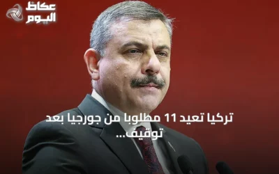 تركيا تعيد 11 مطلوباً من جورجيا بعد توقيف 22 في عملية مشتركة