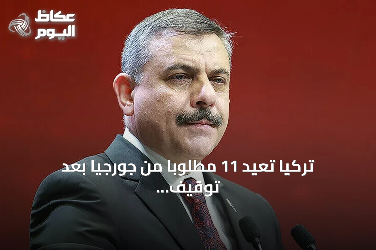 تركيا تعيد 11 مطلوباً من جورجيا بعد توقيف 22 في عملية مشتركة