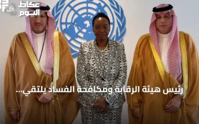 رئيس هيئة الرقابة ومكافحة الفساد يلتقي مسؤولة أممية في فيينا لبحث التعاون