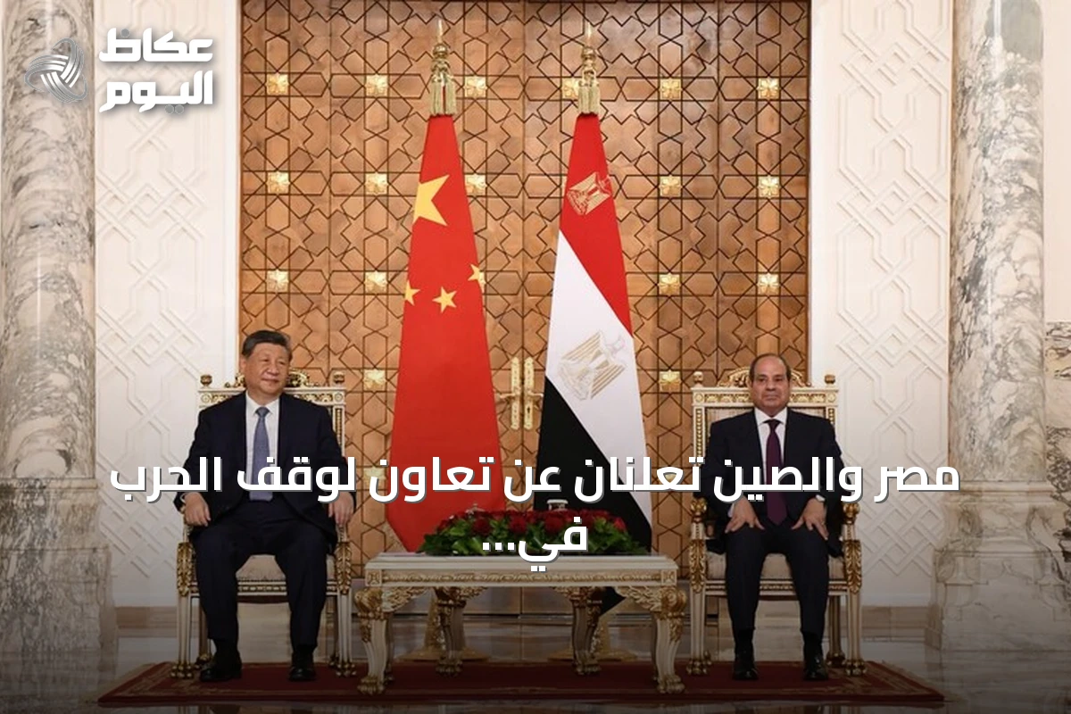 مصر والصين تعلنان عن تعاون لوقف الحرب في السودان وتعزيز وقف إطلاق النار في غزة