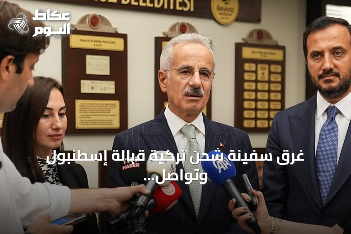 غرق سفينة شحن تركية قبالة إسطنبول وتواصل البحث عن 10 من طاقمها