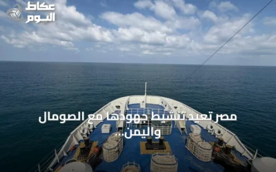 مصر تعيد تنشيط جهودها مع الصومال واليمن لتحرير البحارة المحتجزين